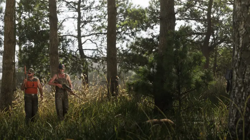 Two hunters with rifles walk through a pine forest